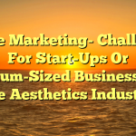 Online Marketing- Challenges For Start-Ups Or Medium-Sized Businesses in the Aesthetics Industry